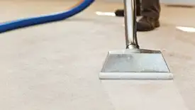 Carpet cleaning wand head gliding over a light carpet during hot-water extraction, Fort Lauderdale, FL.
