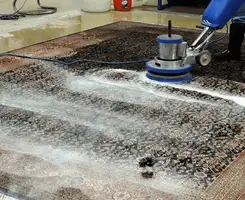 Professional rug cleaning with a rotary floor machine and shampoo foam, deep-cleaning an area rug, in Fort Lauderdale, FL.