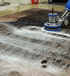 Professional rug cleaning with a rotary floor machine and shampoo foam, deep-cleaning an area rug Fort Lauderdale, FL.